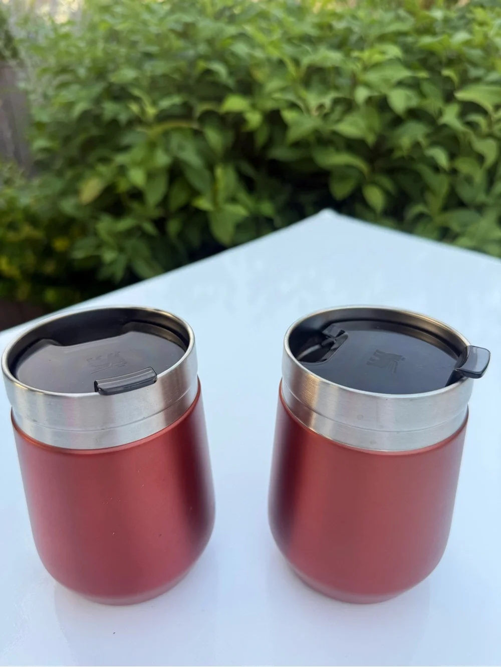 Set of 2 Stanley 10oz Wine Tumblers